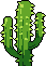 Cactus 1